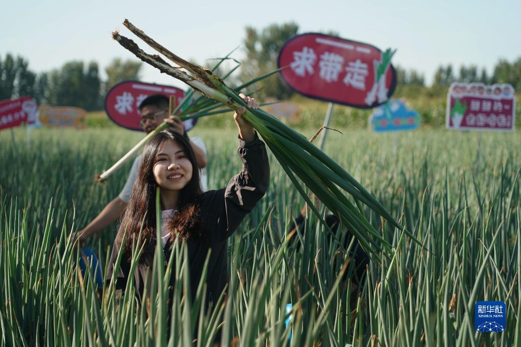 乐乐游戏官网